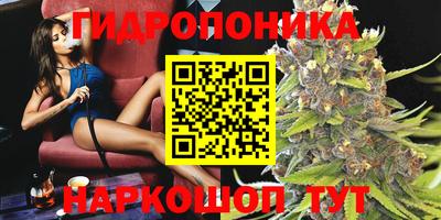 спиды Дубна