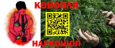 спиды Дубна