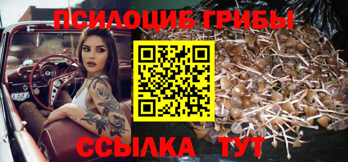 Менделеевск  Галлюциногенные грибы мицелий  Галлюциногенные грибы MAGIC MUSHROOMS  Вход с VPN 