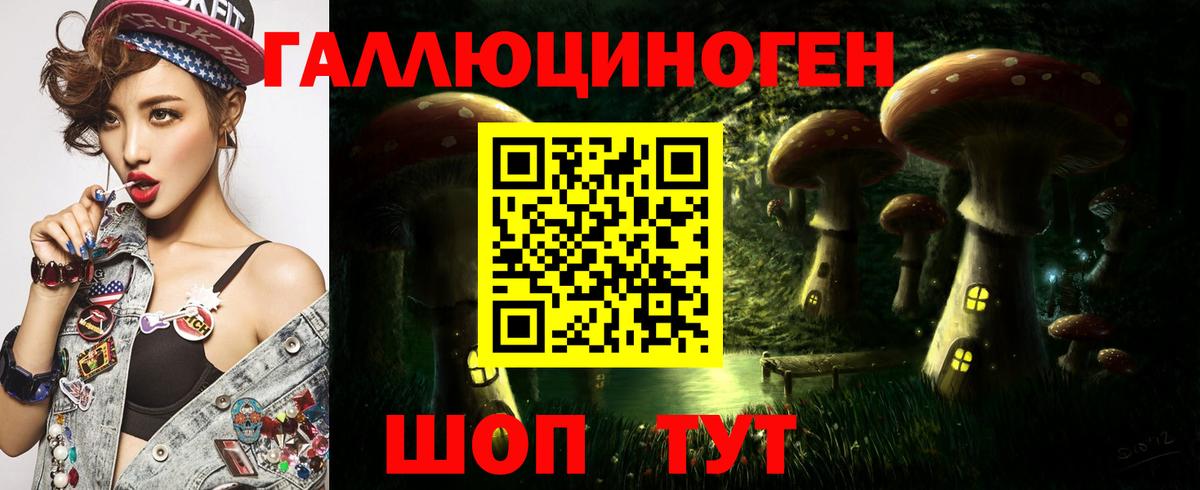 Галлюциногенные грибы Psilocybe Менделеевск
